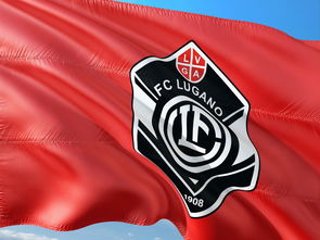 东契奇新星赛场闪耀，瑞士队崭露头角，气势如虹延续